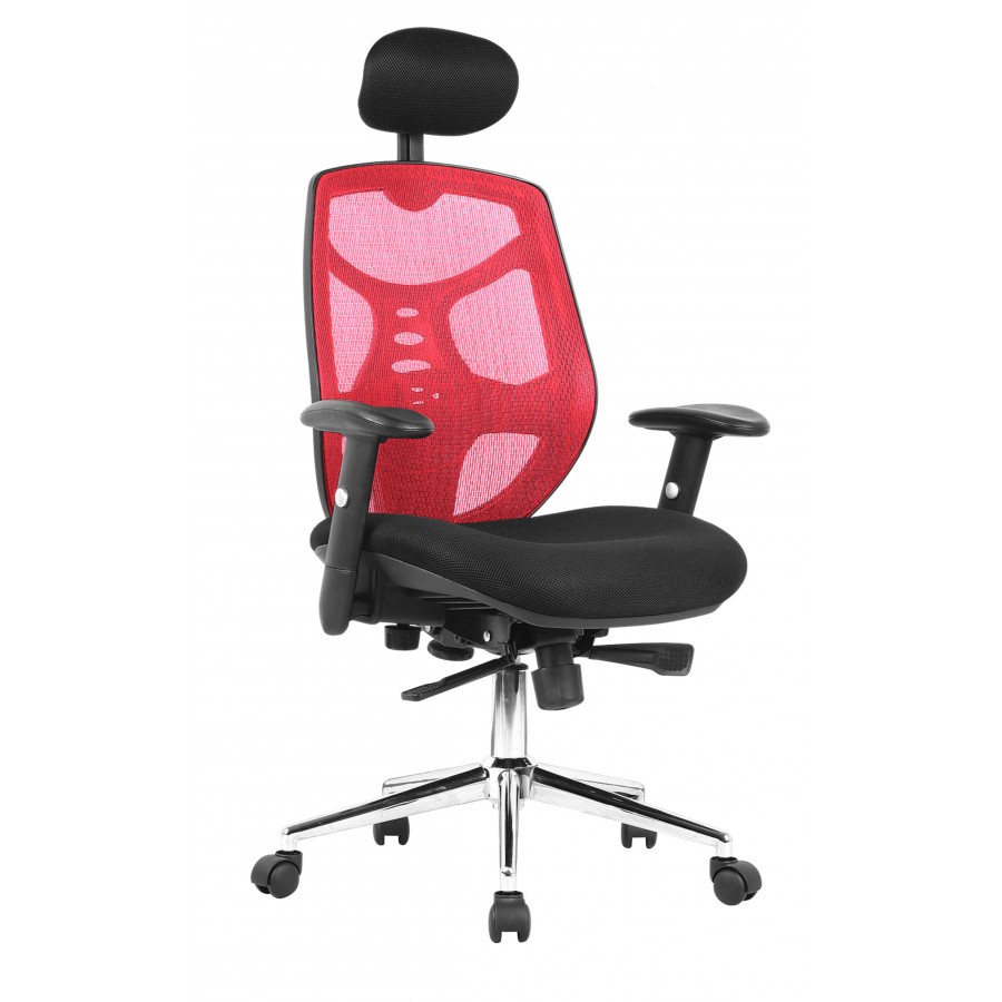 Polaris Mesh Executive Office Chair